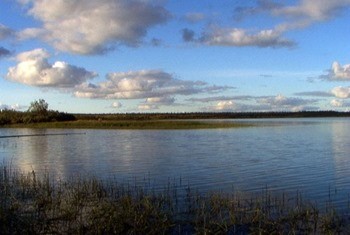 какая рыба водится в нарьян маре. Смотреть фото какая рыба водится в нарьян маре. Смотреть картинку какая рыба водится в нарьян маре. Картинка про какая рыба водится в нарьян маре. Фото какая рыба водится в нарьян маре