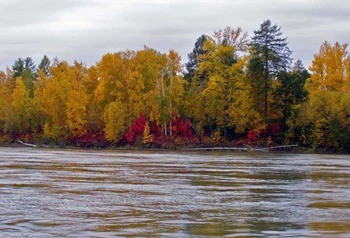 какая рыба водится в магаданской области. Смотреть фото какая рыба водится в магаданской области. Смотреть картинку какая рыба водится в магаданской области. Картинка про какая рыба водится в магаданской области. Фото какая рыба водится в магаданской области