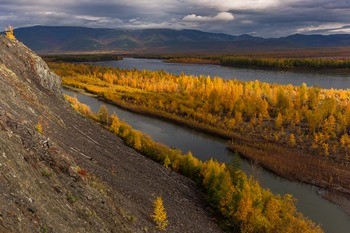 какая рыба водится в магаданской области. Смотреть фото какая рыба водится в магаданской области. Смотреть картинку какая рыба водится в магаданской области. Картинка про какая рыба водится в магаданской области. Фото какая рыба водится в магаданской области