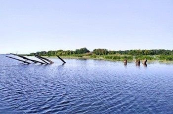 какая рыба водится в волге в чебоксарах. Смотреть фото какая рыба водится в волге в чебоксарах. Смотреть картинку какая рыба водится в волге в чебоксарах. Картинка про какая рыба водится в волге в чебоксарах. Фото какая рыба водится в волге в чебоксарах