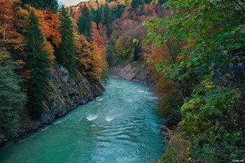 река гостагайка какая рыба водится. Смотреть фото река гостагайка какая рыба водится. Смотреть картинку река гостагайка какая рыба водится. Картинка про река гостагайка какая рыба водится. Фото река гостагайка какая рыба водится