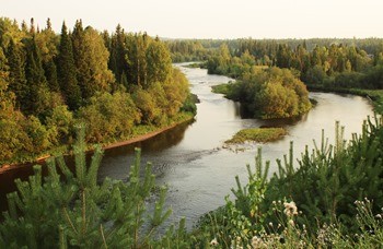 какая рыба водится в хмао реке обь. Смотреть фото какая рыба водится в хмао реке обь. Смотреть картинку какая рыба водится в хмао реке обь. Картинка про какая рыба водится в хмао реке обь. Фото какая рыба водится в хмао реке обь