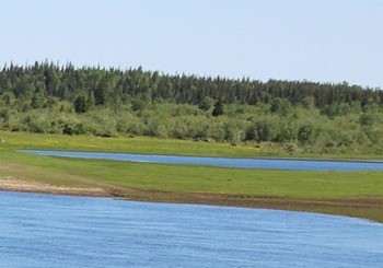 какая рыба водится в нарьян маре. Смотреть фото какая рыба водится в нарьян маре. Смотреть картинку какая рыба водится в нарьян маре. Картинка про какая рыба водится в нарьян маре. Фото какая рыба водится в нарьян маре