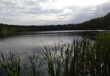 какая рыба водится в волге в чебоксарах. Смотреть фото какая рыба водится в волге в чебоксарах. Смотреть картинку какая рыба водится в волге в чебоксарах. Картинка про какая рыба водится в волге в чебоксарах. Фото какая рыба водится в волге в чебоксарах