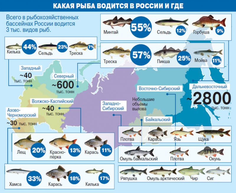 Байкальский рыбохозяйственный бассейн карта