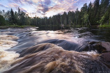 река Шуя фото