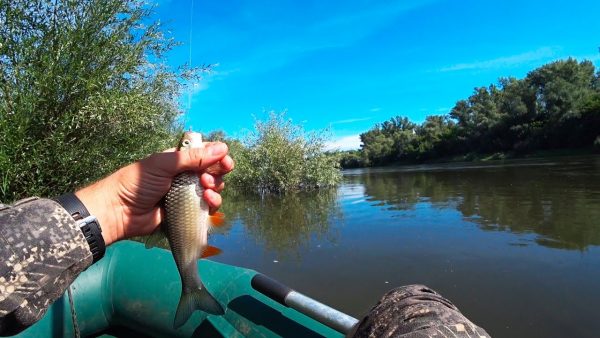 ВИДЕО: Как я искал голавля на реке Белая. Рыбалка 2020. Ловля на кузнечика.