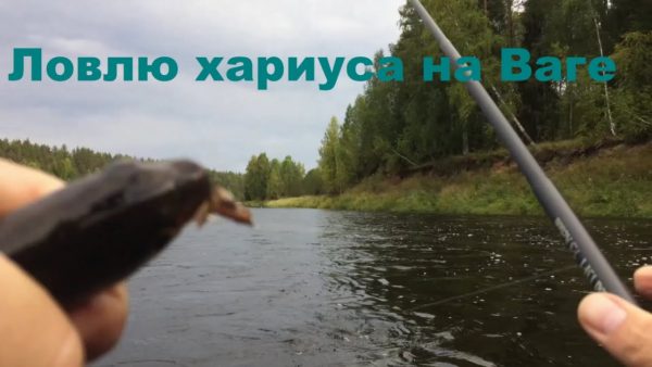 рыбалка на ловля хариуса видео