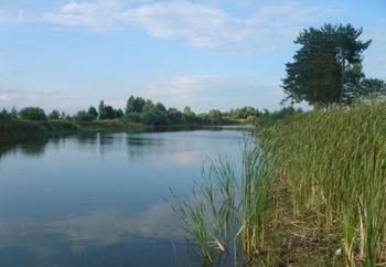 Кадышевский пруд фото