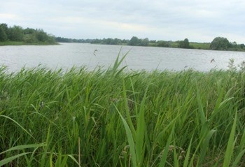 Озеро Кислое фото