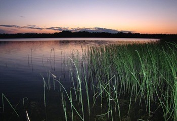 Озеро Локно фото