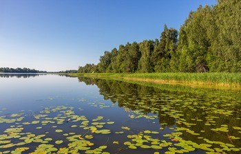 Озеро Мстинское фото