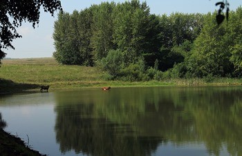 Озеро Сюткюль фото
