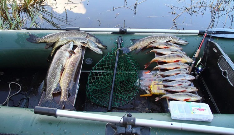 Рыбалка на карельских озерах - видео, обзоры, советы