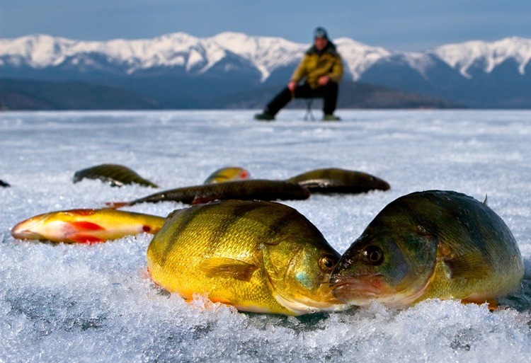 рыбалка на Байкале