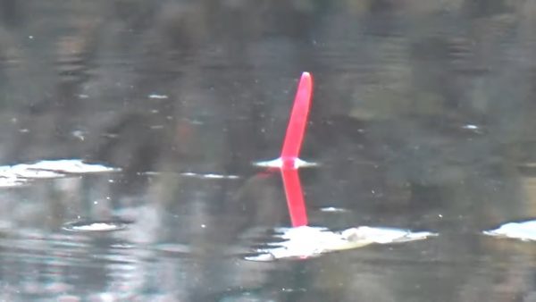 ВИДЕО: Ловля на пуфик Рыбалка на поплавок осенью