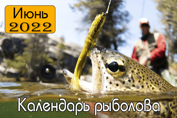 Лунный календарь рыболова на 2022 год клев рыбы по луне. Смотреть фото Лунный календарь рыболова на 2022 год клев рыбы по луне. Смотреть картинку Лунный календарь рыболова на 2022 год клев рыбы по луне. Картинка про Лунный календарь рыболова на 2022 год клев рыбы по луне. Фото Лунный календарь рыболова на 2022 год клев рыбы по луне