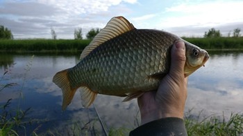 Лунный календарь рыболова на 2022 год клев рыбы по луне. Смотреть фото Лунный календарь рыболова на 2022 год клев рыбы по луне. Смотреть картинку Лунный календарь рыболова на 2022 год клев рыбы по луне. Картинка про Лунный календарь рыболова на 2022 год клев рыбы по луне. Фото Лунный календарь рыболова на 2022 год клев рыбы по луне