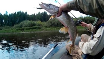 Лунный календарь рыболова на 2022 год клев рыбы по луне. Смотреть фото Лунный календарь рыболова на 2022 год клев рыбы по луне. Смотреть картинку Лунный календарь рыболова на 2022 год клев рыбы по луне. Картинка про Лунный календарь рыболова на 2022 год клев рыбы по луне. Фото Лунный календарь рыболова на 2022 год клев рыбы по луне