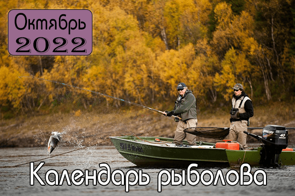 ОКТЯБРЬ 2022 Календарь рыболова