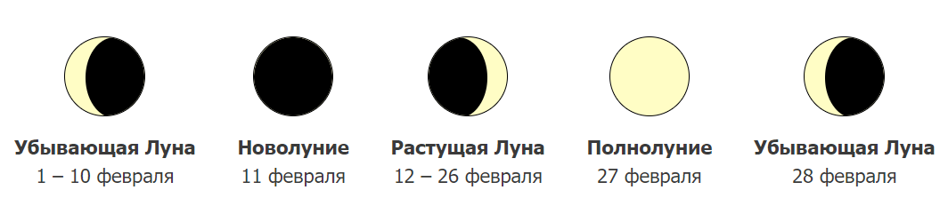 прогноз клева рыбы на февраль 2021. Смотреть фото прогноз клева рыбы на февраль 2021. Смотреть картинку прогноз клева рыбы на февраль 2021. Картинка про прогноз клева рыбы на февраль 2021. Фото прогноз клева рыбы на февраль 2021