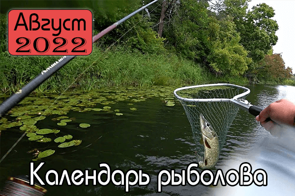 АВГУСТ 2022 Календарь рыболова