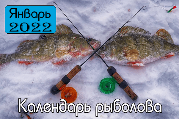 ЯНВАРЬ 2022 Календарь рыболова