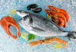 Морепродукты: почему стоит употреблять и как правильно выбрать?
