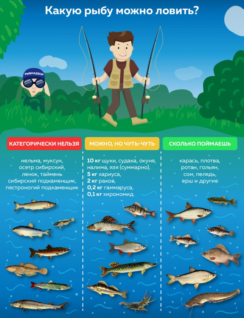 какую рыбу можно ловить
