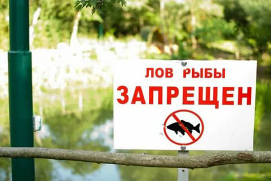 рыбалка запрещена