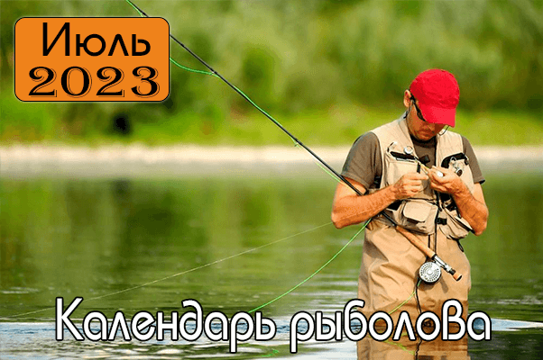 Рыбалка: актуальные данные о клюе и выборе снастей по числам и месяцам